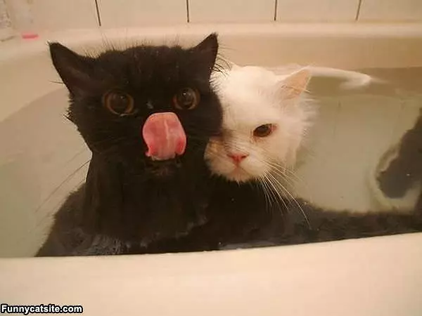 It Is Our Bath Time