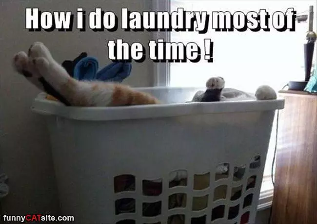 Laundry Most Of The Time