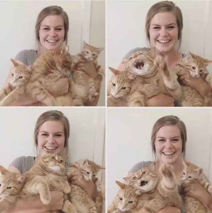 Me And My Cats