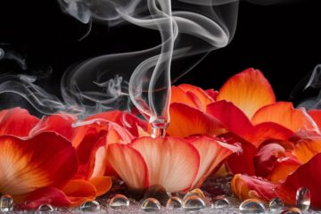 floral smoking card game