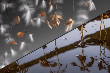 serene scattered thoughts descending