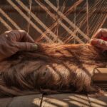 weaving bets into freedom
