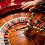 learn professional roulette basics