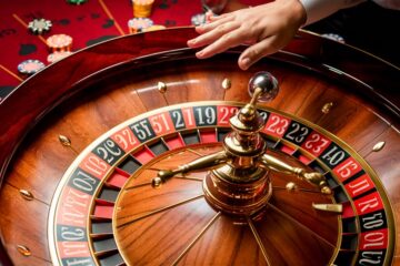 learn professional roulette basics